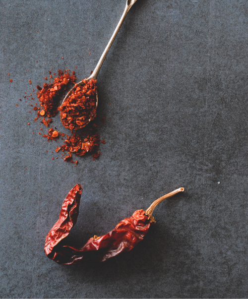 Untitled design – 2026-02-21T112139.336